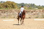 SBM_002921