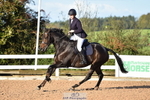 Cls 12 British Novice & 90cm Open portfolio