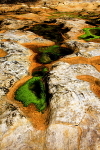 20100826_0190_2