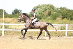 SBM_000509