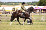 SBM_17825
