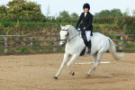 SBM_000335
