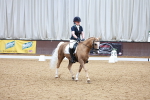 SBM_002900