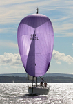 131006 PANORAMA OF HAMBLE GBR1647L WT7A6410