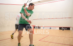 Inter-insular Squash_2017-12