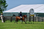 SBM_03781
