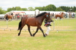 SBM_03560