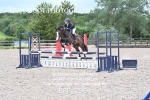 BPP_2994
