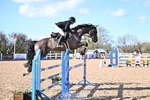 Cls 25 1.10m Amateur Quali portfolio