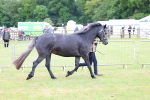 SBM_04040