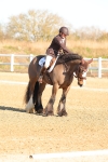 SBM_003491