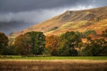 Layers-of-Autumn