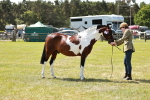 SBM_05455