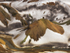 Landmannalaugar aerial study #6
