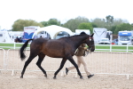 SBM_15255