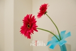 Kings Road_Interior-44