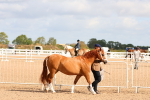 SBM_10957