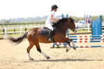SBM_001005