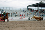 3HRodeo7-22-25_CFD_03495_