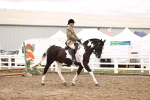 SBM_01338