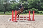 BPP_3192
