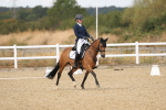 SBM_009699