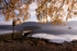 Autumn Landing