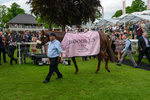 170524-Race 4-Giavellotto-8892