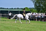 SBM_15271