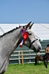 SBM_03372