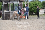 BPP_9950