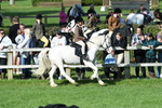 SBM_50407