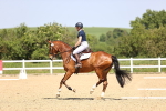SBM_009023