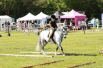 SBM_12711