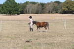 WJ6_9436