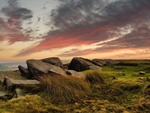 The Castle - Burley Moor