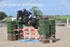 BPP_8284