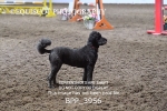 BPP_3956