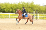 SBM_003997