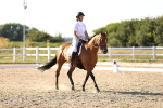 SBM_007775