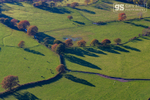 Talyllyn shadows