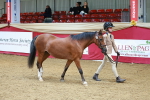 SBM_04253