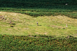 Barrow-3