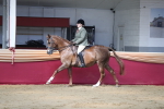 SBM_02908