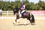 SBM_012331_Novice 5 - 1305-1436