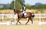 SBM_009736