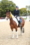J29 - Senior Horse & Pony 65cm Championship portfolio