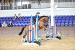 SBM_009979