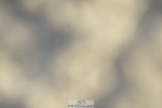 230909-174112-07303