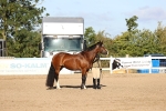 SBM_08401